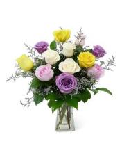 Paradise Roses Paradise Roses