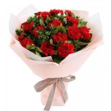 18 Red Carnations Bouquet